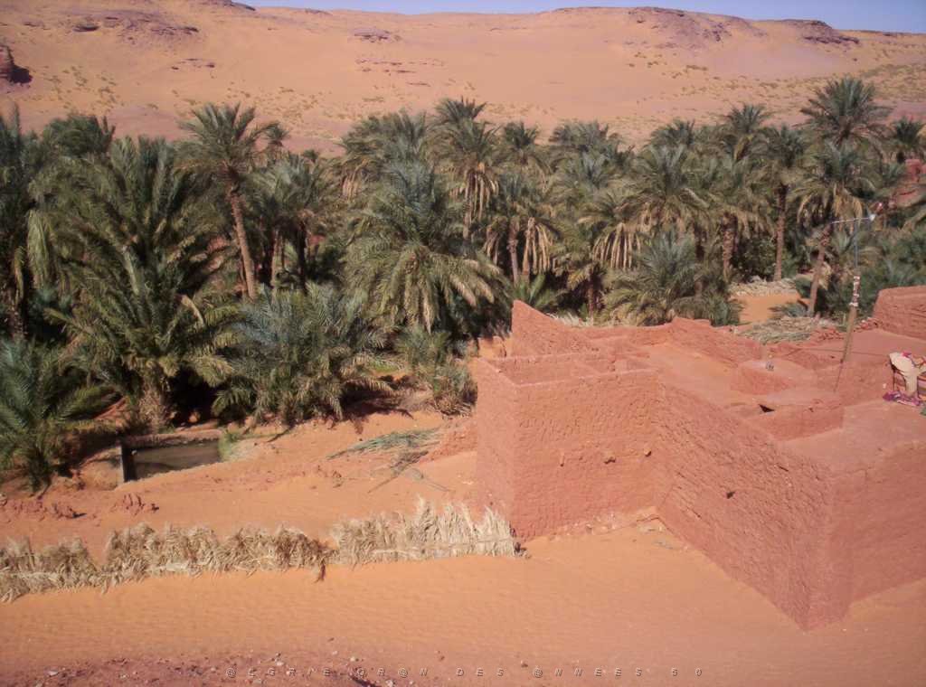 TIMIMOUN DECEMBRE 2004 N074.JPG